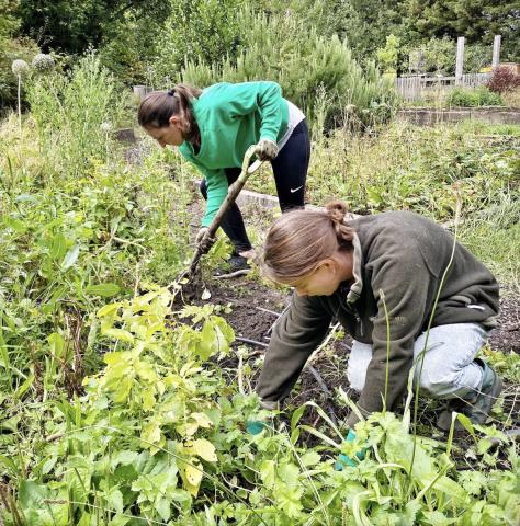 Two teenage girls digging and planting in the outdoors